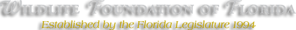Wildlife Foundation of Florida