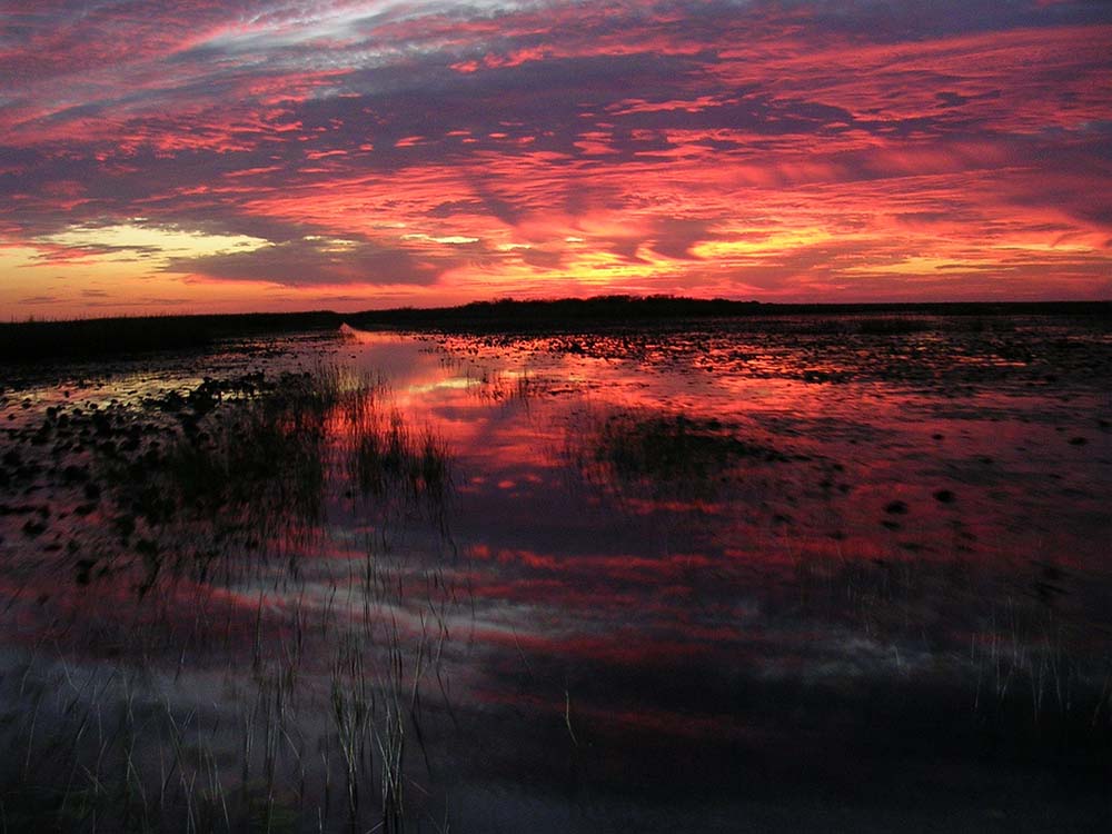 Everglades Sunset